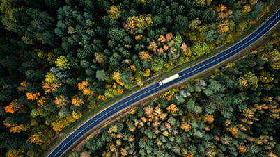 a road in the forest a road in the forest
