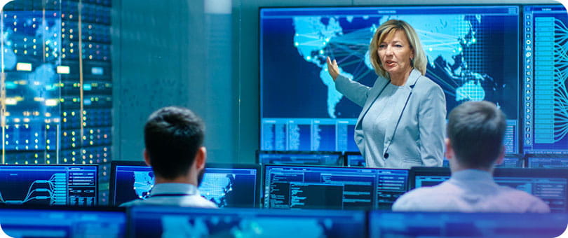 Government L2 web topic 2 image