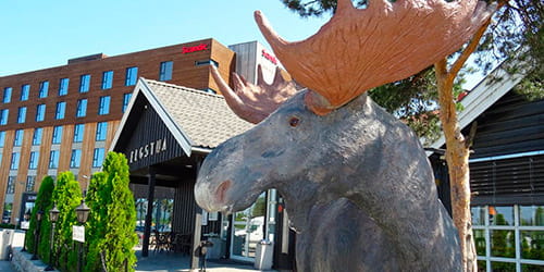 Scandic Central Elverum 500x250