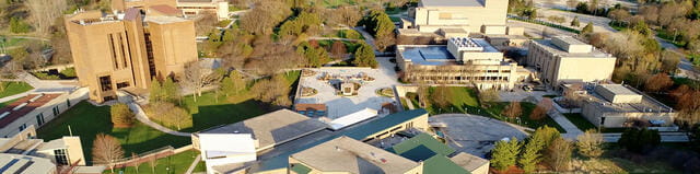 the roof of a building