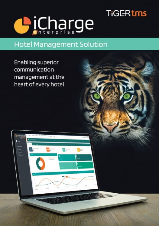 a cat looking at a laptop