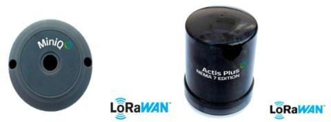 Wellness products